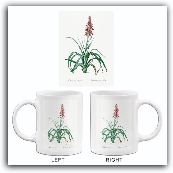 Poster-Rama Pina Cortadora - 1805 - Les Liliacees - Pierre Redoute - Illustration Mug