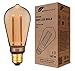 Produktbild GreenAndCo® Smart WiFi Vintage Design LED Lampe E27 ST64, 3.8W 160lm 1800K 320° 230V, flimmerfrei, dimmbar, kompatibel mit Alexa und Google Assistant, WLAN (ohne Hub), 2 Jahre Garantie