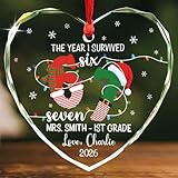 Custom Teacher 6 7 Christmas Ornament, The Year I Survived 67 Glass Ornament 2026, Elementary Teacher Six Seven Ornaments, Personalized Six Seven Christmas Tree Decor, Keepsake Gift from Students
