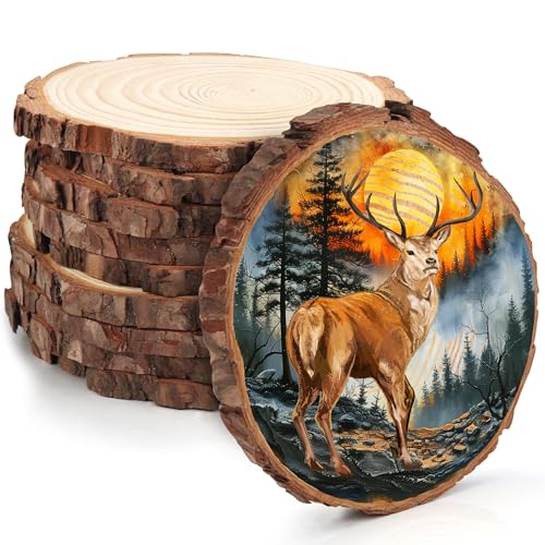 Kurtzy - Arandelas de madera natural en bruto (10 unidades, 14 a 16 cm de diámetro, con corteza y sin agujeros, madera para pirograbado, artesanía y decoración navideña y de boda