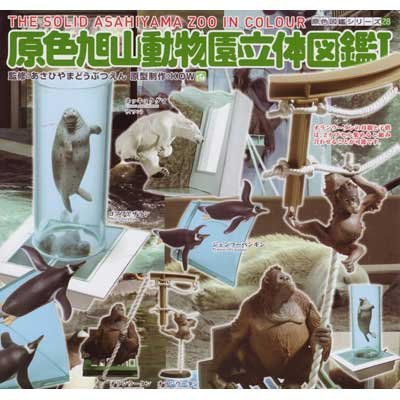Amazon.co.jp: 原色 旭山動物園立体図鑑 I 全5種 : おもちゃ