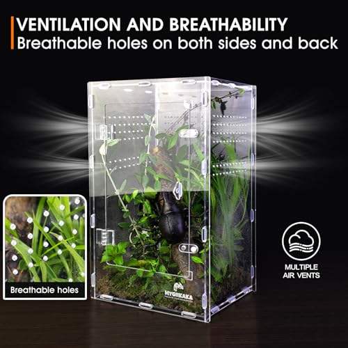 Mygiikaka CWMX00001-L Acrylic Jumping Spider Enclosure, Insect Terrarium, Bug Enclosure, Spider Cage, Jumping Spider Habitat, Praying Mantis Habitat, Arboreal Tarantula Enclosure thumb #5
