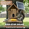 FAUBIC Squirrel Feeder with Camera - Includes Solar Powered Panel - Burned Pine Squirrel House with Anti-Chew Cable Protector - Smart Squirrel Feeder 160° HD Night Vision - 2.4Ghz WiFi Squirrel Camera
