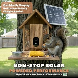 FAUBIC Squirrel Feeder with Camera - Includes Solar Powered Panel - Burned Pine Squirrel House with Anti-Chew Cable Protector - Smart Squirrel Feeder 160° HD Night Vision - 2.4Ghz WiFi Squirrel Camera