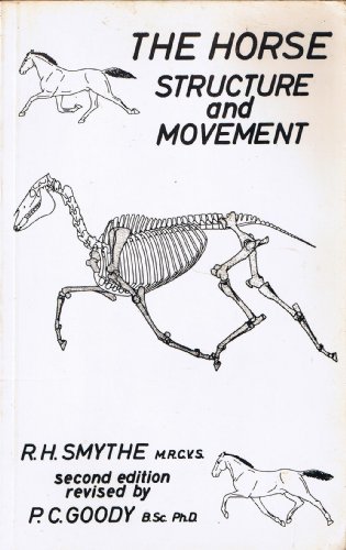 The Horse Structure and Movement