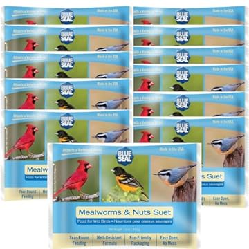 best bird feeders for siskins