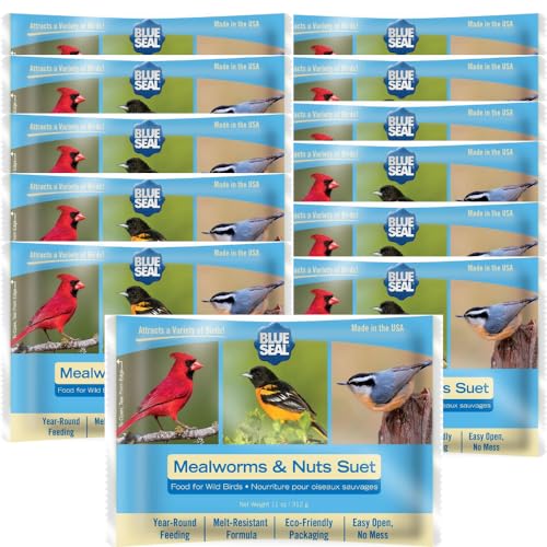 Blue Seal Mealworms & Nuts Suet Cakes for Wild Birds - No Mess Suet Feed, Food for Woodpeckers, Cardinals, Siskins, Sparrows & More - 11oz Suet Feeder, Bird Seed Cakes (Pack of 12)