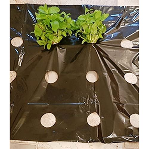 Película De Mantillo Perforada De Plástico De 5 Agujeros, Película Negra De Cultivo De Plantas Agrícolas, Película De PE Anti Hierba Para Mantener Caliente El Invernadero, 1 Pieza ( Size : 50M ) Cover