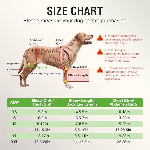 Dog Brace for ACL Tear Back Leg, Adjustable Dog Leg Brace for Front or Hind Leg, Dog Shoulder Brace, ACL Brace for Dogs Rear Leg to Provide Support, Promotes Recovery and Improve Joint Problems S - Thumbnail 4