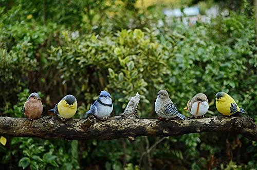 VILIGHT Garden Statue Birds Decor Gifts for Mom Aunt and Sister - Outdoor Indoor Decoration at Lawn and Yard - Real Birds Size Set of 6