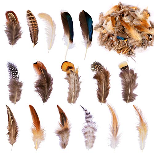 Whaline 480Pcs Natural Color Feather 16 Styles Craft Feather Goose Feather Turkey Plumage Mixed Set for Dream Catcher Hat Jewelry Cloths Bag Earring Accessories Wedding Home Decorations