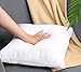 Utopia Bedding 4er Set Kissenfüllung 40 x 40 cm, Innenkissen Füllkissen Kopfkissen Sofakissen (Weiß)