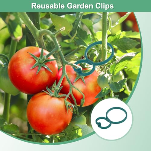 Clips de support pour plantes M METERXITY x200 pour tomates et vignes - 7