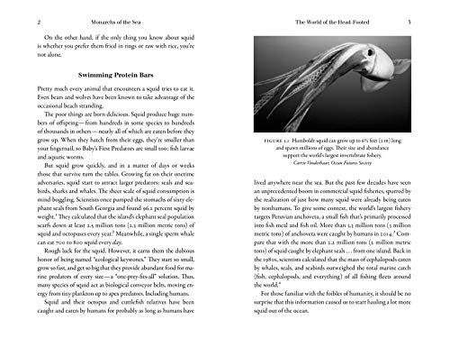 Monarchs Of The Sea: The Extraordinary 500-Million-Year History Of Cephalopods #TOP2