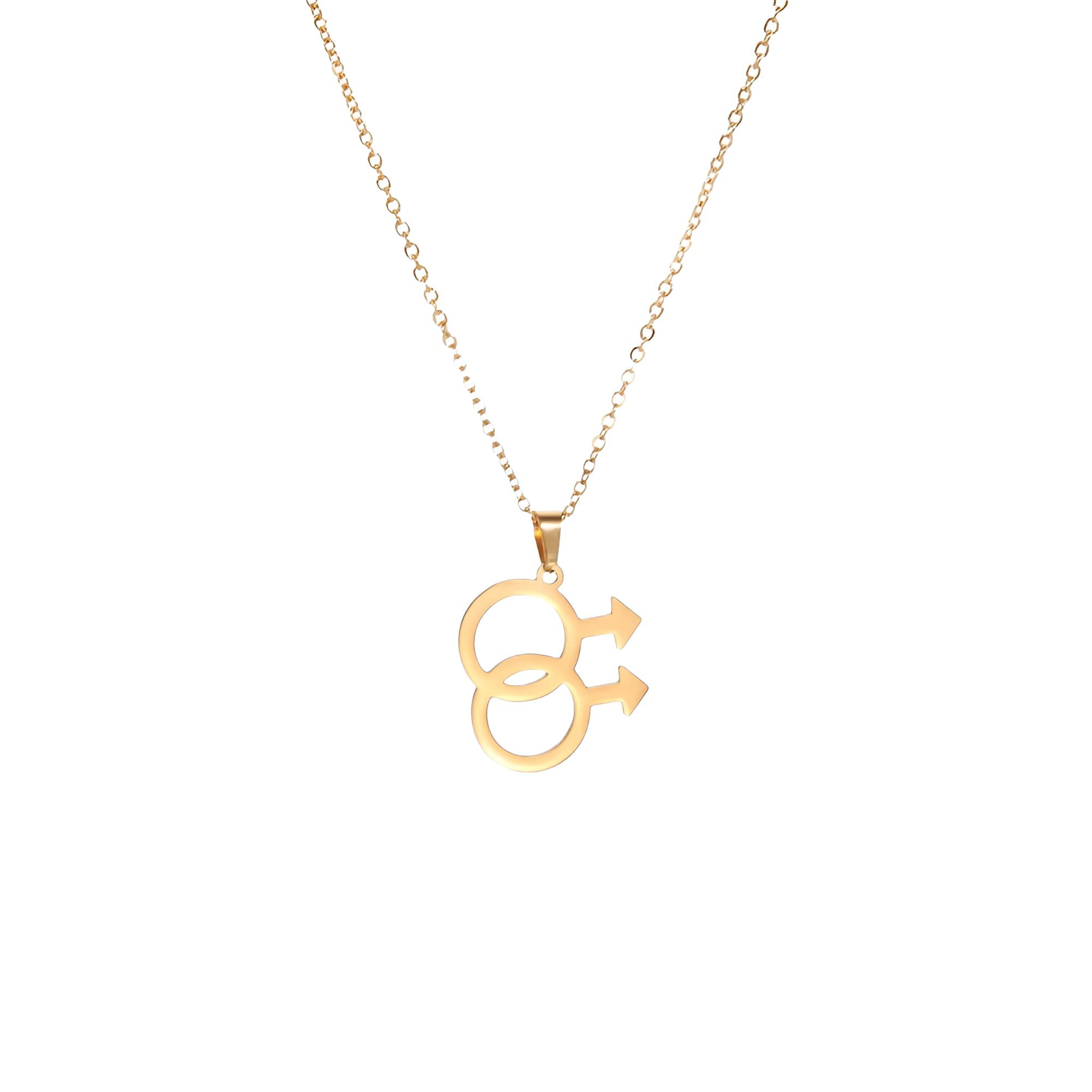 Collier transgenre argent 925, pendentif lesbien double d'exception