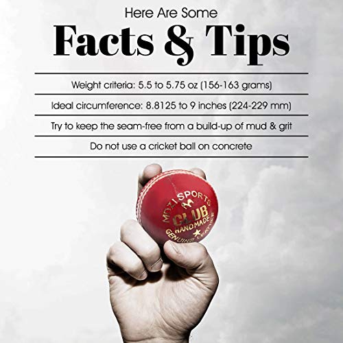 Mozi Sports Men Hand Stitched Club County Cricket Ball Grade A Senior Official Balls Pack Of 6 Weight 5.5Oz (Red) #TOP5