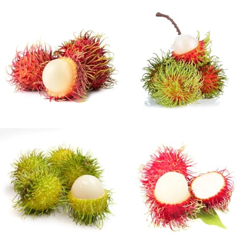 semillas de fruta de rambután - Plantas en macetas con fruta fresca resistentes al exterior. salón columnar con decoración de frutas. plantas decorativas de arboles frutales Maceta 8pcs