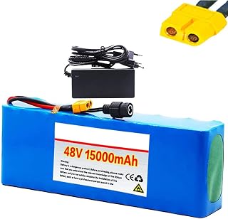 SEIN 48V 15Ah E-Bike Battery 13S3P Electric Bicycle Li-Ion Battery Pack for 1000W Electric Vehicle Electric Motorcycle Battery Built-in BMS with Charger