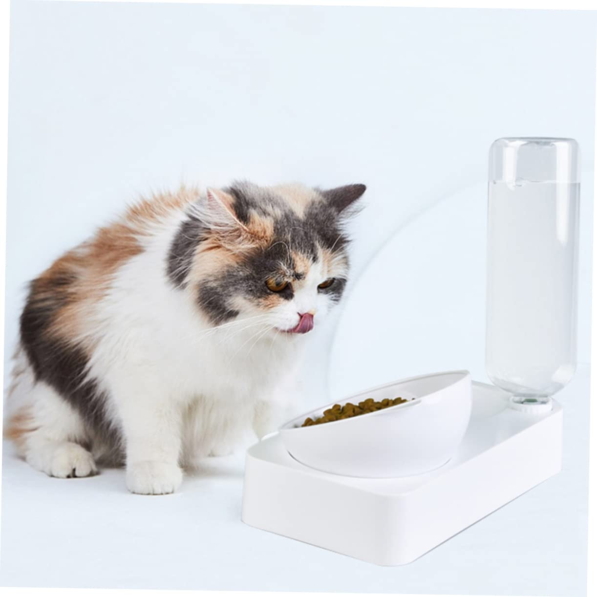 DOITOOL 1pezzi Ciotola per Gatti Design Anti-ingozzamento Utile Contenitore per Cibo e Acqua Mangiatoia Sicura per Animali Domestici Superficie Liscia