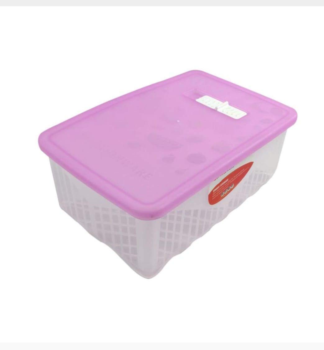 sygniusPlastic Smart Freezer Mate Container Box, 2 litres, Multicolor (1, Piece)