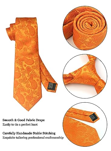 Image of Paisley Floral Mens Tie Formal Necktie Pocket Squares Ties Clips Cufflinks Classic for Men Set