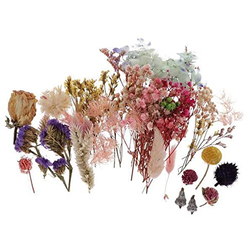10 piezas flores secas naturales para manualidades
