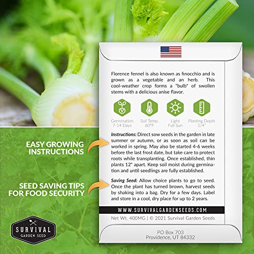 1 Pack Fennel Seed for Planting - Packet with Instructions to Grow Cool-Weather Florence Fennel (Finnochio) in Your Home Vegetable Garden - Non-GMO Heirloom Variety - Survival Garden Seeds