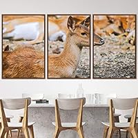 3 Piece Framed Canvas Wall Art Fawn in The Wild Animals Deer Canvas Prints Home Artwork Decoration for Living Room,Bedroom - 16