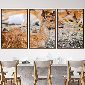 signwin 3 Piece Framed Canvas Wall Art Fawn...