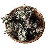 Agregue fácilmente color y aroma a su jardín, se alegrará de haber decidido plantarlos.