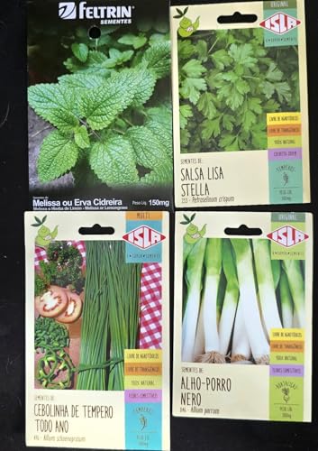 Kit 4 Sementes Vasos para Jardim em Casa (Cebolinha, Alho-poró, Salsa, Capim-limão)
