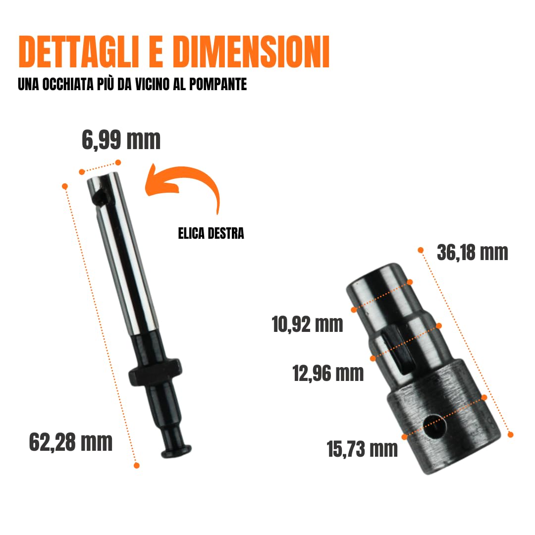 Kit Pompante + Polverizzatore + Valvolina per Motozappe e Motocoltivatori Lombardini Diesel LDA 450 LDA 510 3LD 510 4LD 640 LDA 640 LDA 96 LDA 97 LDA 100 4LD 820 LDA 820