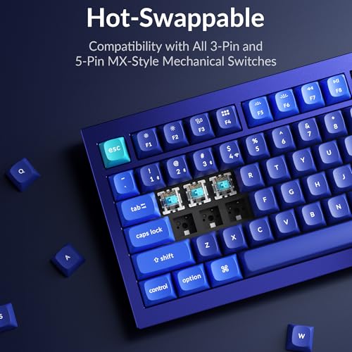 Image of Keychron Q1 RGB Wired Custom Mechanical Keyboard Knob Version, 75% Layout QMK /VIA Programmable Macro with Hot-swappable Gateron G Pro Blue Switch Double Gasket Compatible with Mac Windows Linux (Blue)