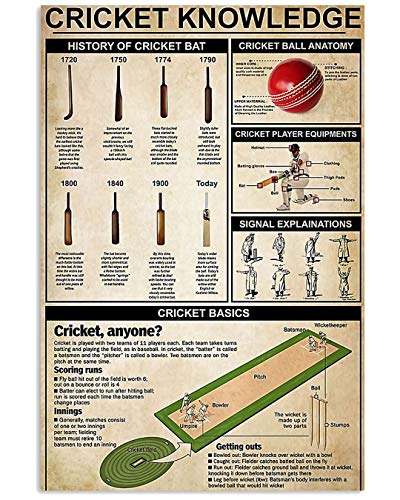 Cricket Knowledge History of Cricket Bat Cricket Ball Anatomy Player Equipments Poster No Frame Or Framed Canvas 0.75 Inch Print in Us Novelty Quote Meaningful, Motivational
