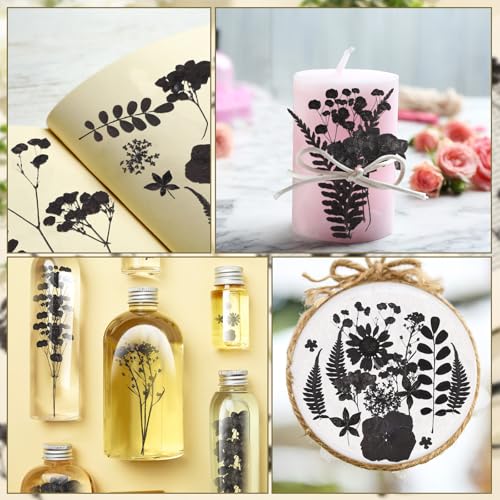 Flores secas prensadas Fabbay 200 piezas para manualidades miniatura 6