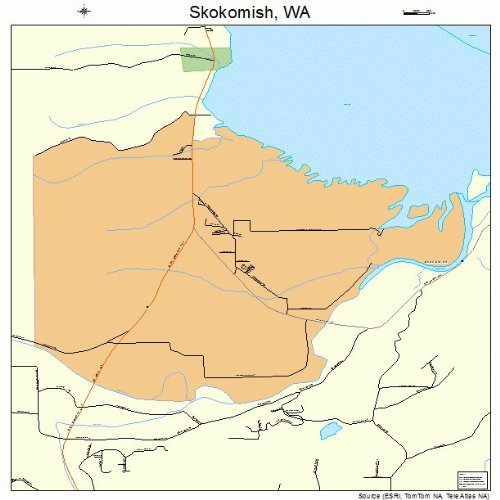 Large Street & Road Map of Skokomish, Washington WA Printed poster