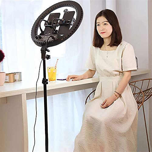 FACAZ Produkte Kamera Videobeleuchtung Kit 14 Zoll Live Fill Light LED Ringlicht Anker Handy Selfie Fotografie Schönheit… – Bild 4