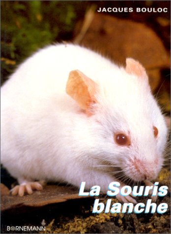 La Souris blanche