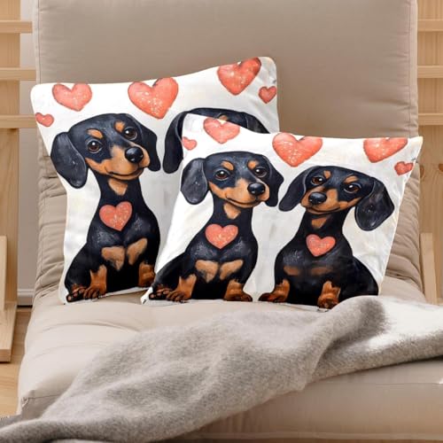 Housse de coussin velours double face haut de gamme 50x50cm