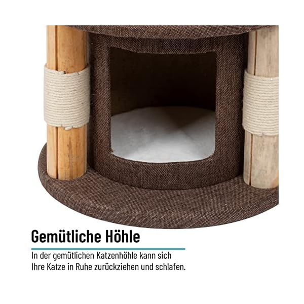 VOSS.pet Kratzbaum Milo 70cm - Premium Kiefer Massivholz Katzenkratzbaum mit Plattformen, Höhle und Hängematte – Bild 6