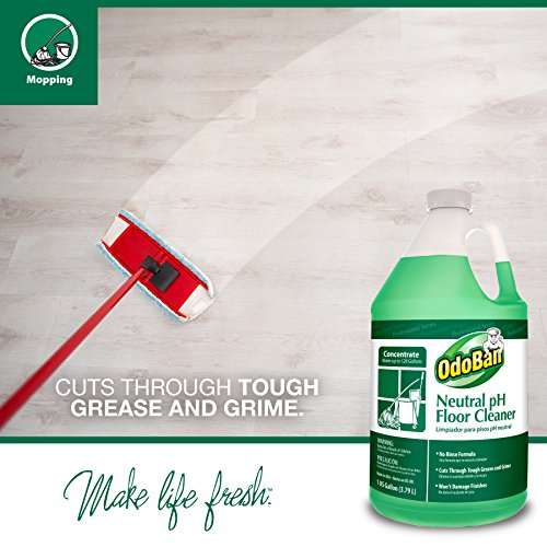 OdoBan Professional Cleaning and Odor Control Solutions, 1 Gallon Each Neutral pH Floor Cleaner and Biostain and Odor Remover