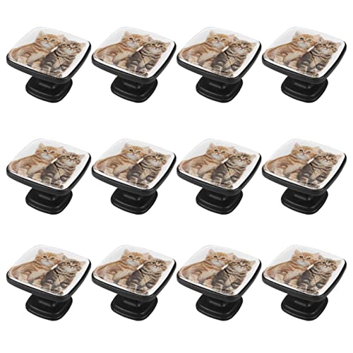 Boutons de commode chat lot de 12 poignées pour tiroir - 3