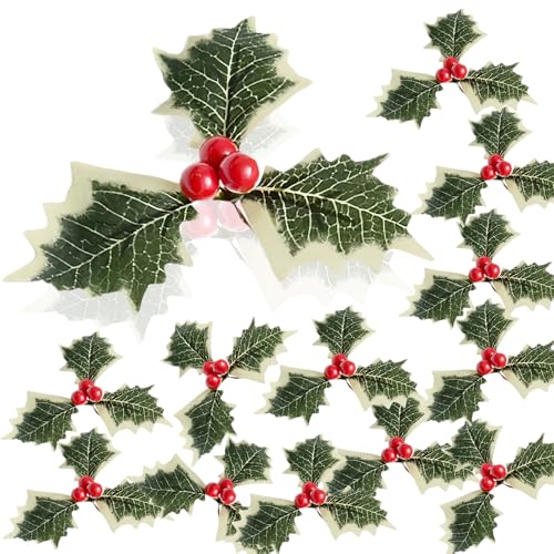 10P Fake Christmas Holly Sprigs Green Holly Leaves Branches with Red Berry,Holly Leaves Christmas Pine Artificial Berry Stems Decor,Xmas Foliage Berries Holly Bouquets for Craft Flower Wreaths Decor