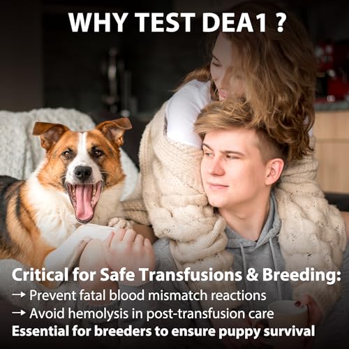 Image of Canine Dog Blood Typing Test Kit for DEA1 Detection | At-Home Dog Blood Type Test with Free Stainless Steel ID Tag