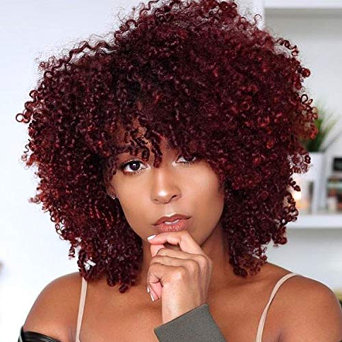 Short Afro Kinky Curly Red Synthetic Hair Wigs for Black Women Andromeda Soft Fluffy Small Curls Hair Wig African American Costume Cosplay Cheap Half Wigs + 1 Free Wig Cap (Red)