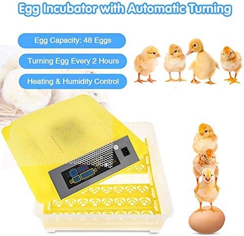 Oppikle 48 Eier Intelligentes digitales Brutmaschine Brutkasten mit LED Temperaturanzeige und Feuchtigkeitsregulierung,Inkubator Vollautomatische Brutmaschine – Bild 5