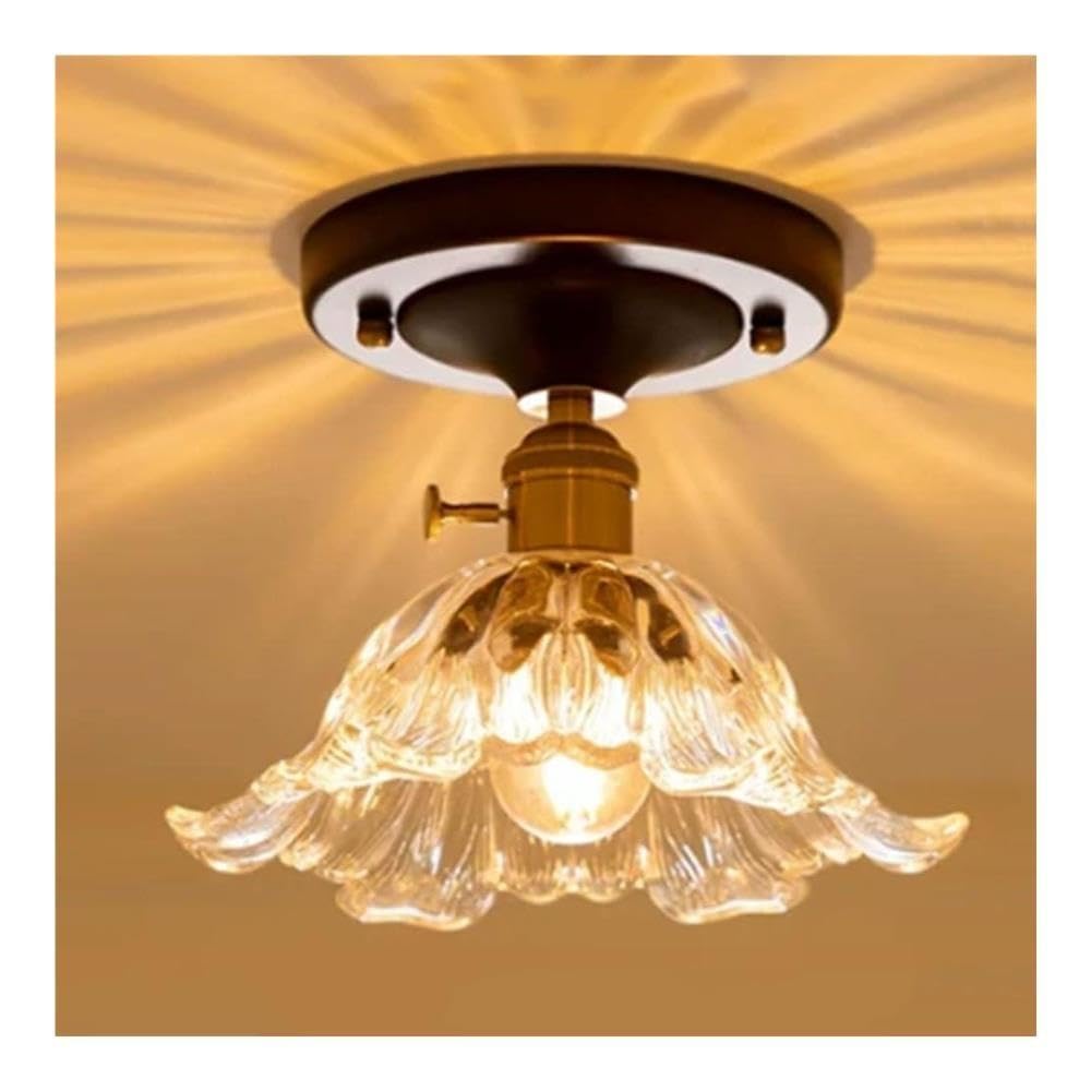 Lampada da soffitto for Ingresso con Paralume in Vetro Semplice