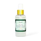 Walt’s Wonderful World Disney Room Spray – Set of 2 – Long-Lasting Disney-Inspired Green Clover & Aloe Scent – Fresh Disney World Hotel & Park Magic Spray – 4 oz Each