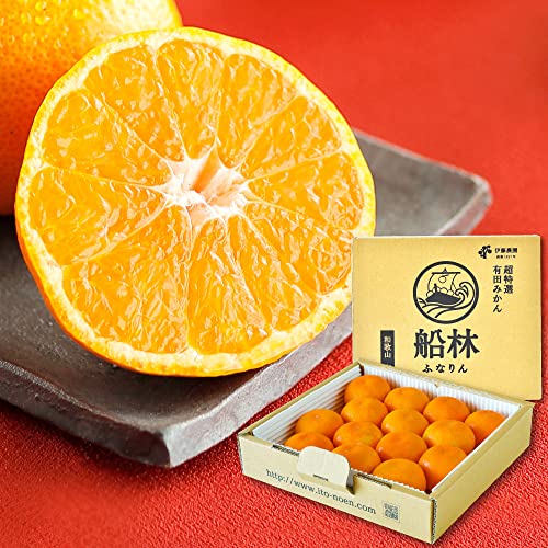 伊藤農園 特選 有田みかん 船林 ふなりん 小玉 Sサイズ 高級 糖度12度以上 光センサー選果 防腐剤不使用 和歌山 御歳暮 贈答 減農薬 みかん 和歌山県産 国産 柑橘 人気 甘い (14個入)