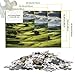 Imagen de Rompecabezas para Adultos De 1000 Piezas Green Pastures Landscape Rompecabezas para Adultos Juguetes Antiestrés Mejora La Memoria Oferta como Regalo para Toda La Familia 38x26cm